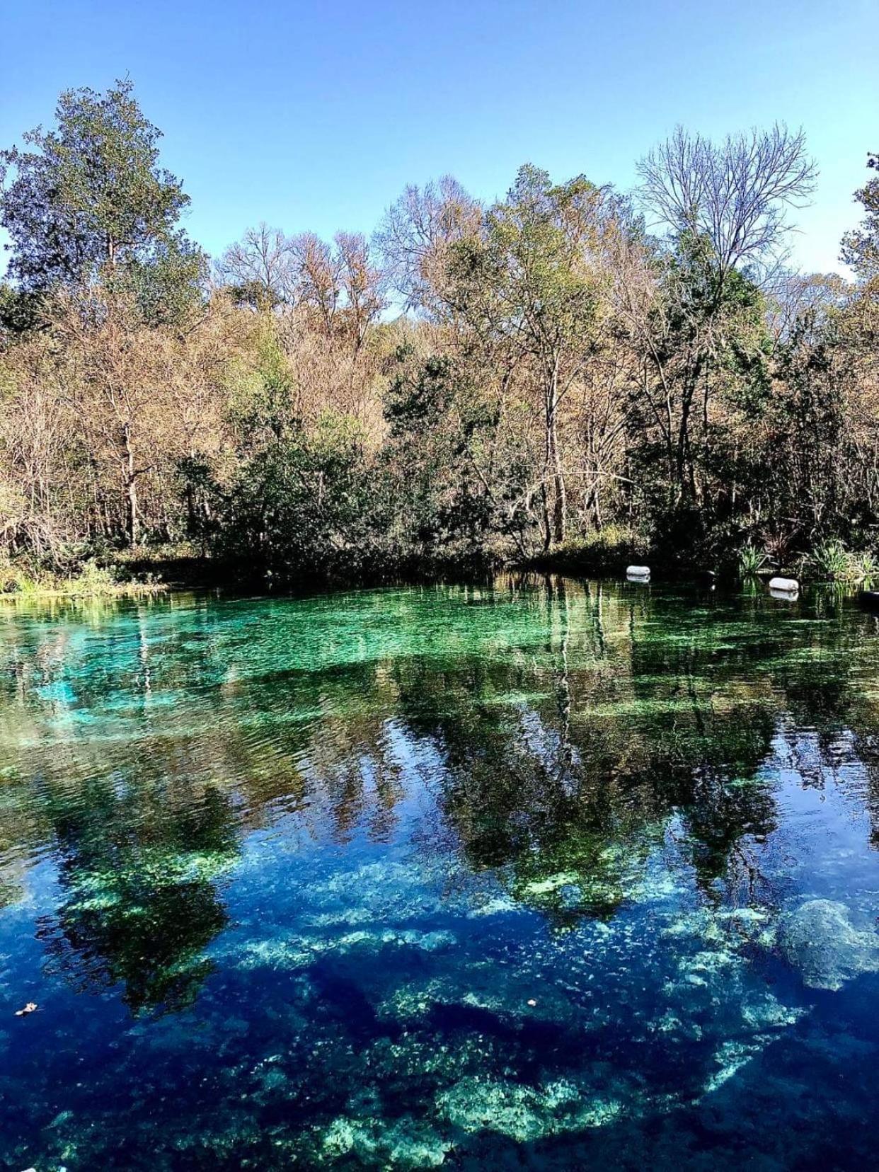 Beverly HillsBeautiful Vacation Spot!アパートメント エクステリア 写真